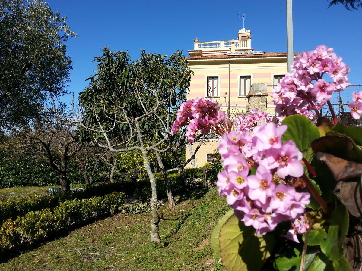Villa Vincenza ヴァッロ・デッラ・ルカーニア エクステリア 写真